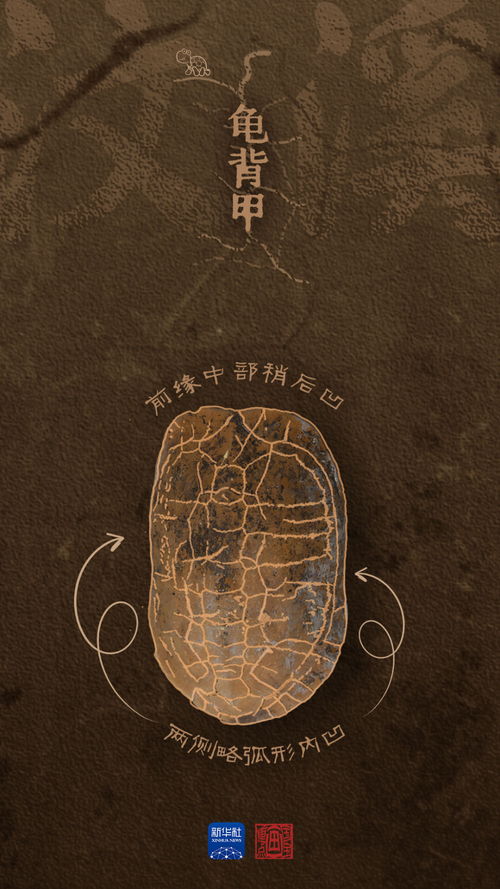 國寶畫重點丨瞧瞧,這是海岸帶先民的生活美學